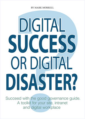 Book cover - Digital success or digital disasters